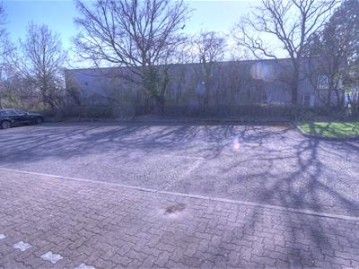 Picture 7
